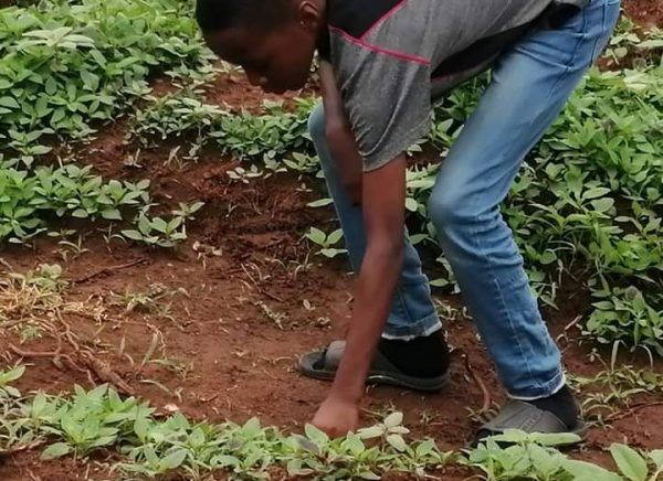 FB_IMG_1724456515151