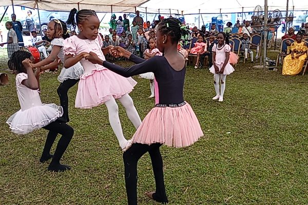 IMG_20241005_145225 IMG_20241005_145225